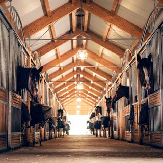 Jítravský Dvorec - Apartmány nad stájemi  (5)