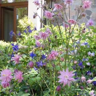 Villa Orlik Barlinek (3)