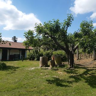 Meduna Vendégház Várvölgy (4)