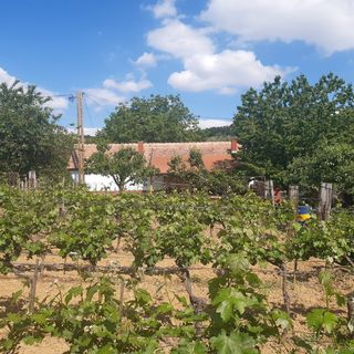 Meduna Vendégház Várvölgy (3)