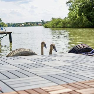 STÉG64 Ráckeve (4)