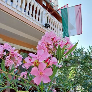 Dessewffy Vendégház Zamárdi (3)