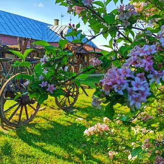 Tornácos Vendégház Tivadar (2)