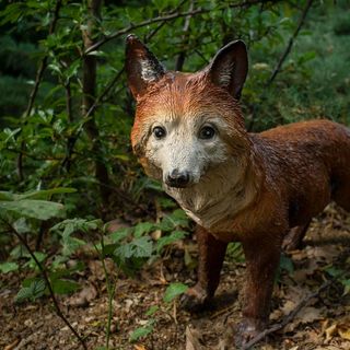 Vándor Vendégház Noszvaj (3)