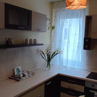 Mandala Apartman Szeged (3)