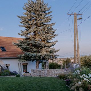 Panorama Vine House Balatonfüred (5)