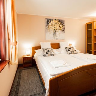 Zöld Dió Vendégház Mezőkövesd (4)