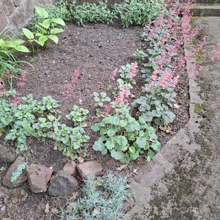 Árnyas Apartman Balatonalmádi (5)