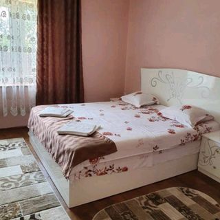 Casa Bunicii Cârțișoara (2)