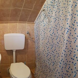 Casa Bunicii Cârțișoara (5)