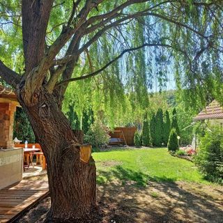 Tündérkerti Apartmanok Bogács (4)