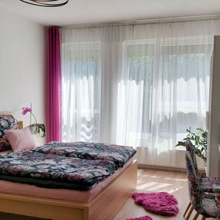 Studio Florens Apartman Sopron (4)