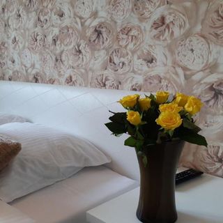 Apartament Różany 365PAM Mielno (3)