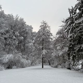 Bakonyújvár Vendégház Ugod (5)