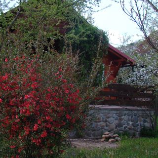 Cabana Liget Praid (2)