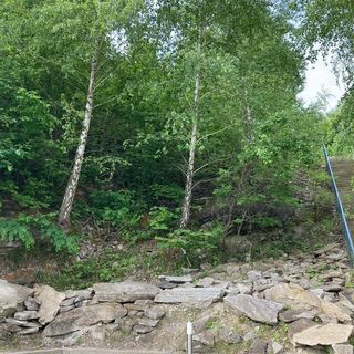 Nature 1 Apartman**** Hévíz (5)