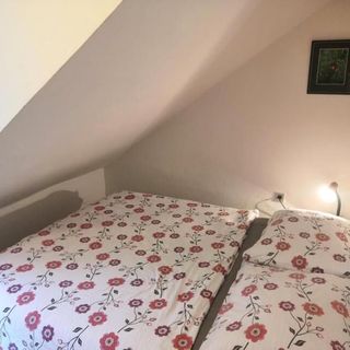 Chata Pestalozza Špindlerův Mlýn (3)