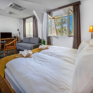 Zsóry Liget Hotel & Spa Mezőkövesd (3)