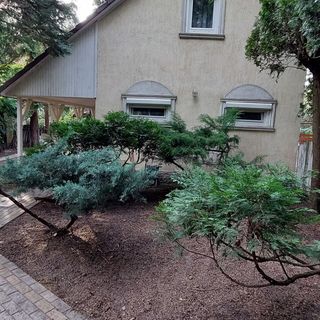 Cédrus Vendégház Kunfehértó (5)