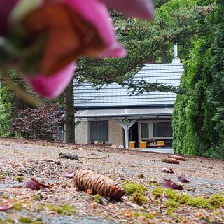 Aligvárlak Vendégház Kismaros Börzsönyliget (5)