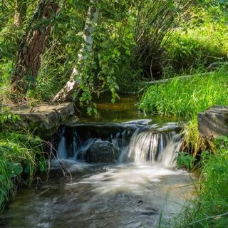 Chata Zveriak Jamník (5)