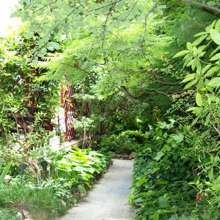 Faludi Vendégház Vonyarcvashegy (3)