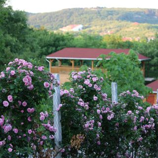 Rózsapark Panoráma Apartman Demjén (2)