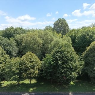 Szügyi Apartman Hévíz (2)