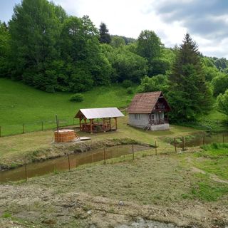 Cabanele ,, Valea Bradului"  Izvoru Mureșului (2)