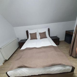 Pensiunea Dawa Pui (4)