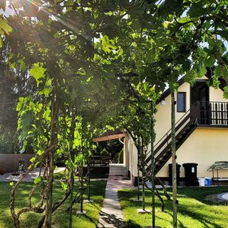 Napfény Vendégház Vonyarcvashegy (4)