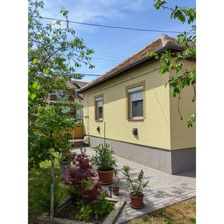 Leander Vendégház Tokaj (3)