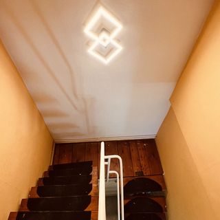 Bonsai Garden Balatonkenese (4)