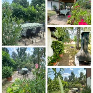 Pink Leander Apartman Siófok (2)