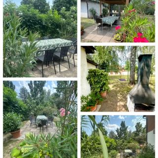 Pink Leander Apartman Siófok (2)