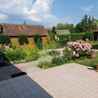 Nova Vendégház Nova (4)