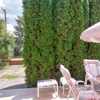 Fecske Vendégház Balatonalmádi (4)