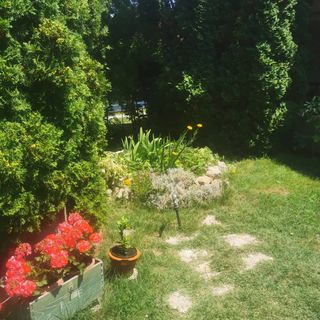 Kaméleon Apartmanház EV töltéssel Balatonszemes (2)