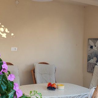 Apartman Vir - CDI204 (2)