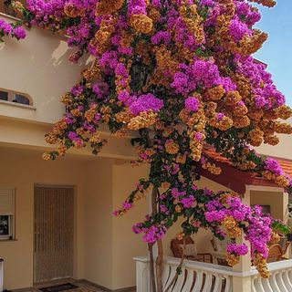 Apartman Vir - CDI204 (5)