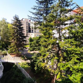 My Little Zella Apartman**** Hévíz (5)