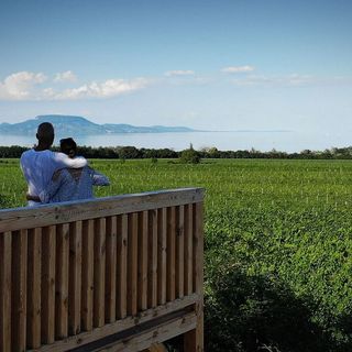 Szőlőhegyi Vendégház***** Balatonberény (4)