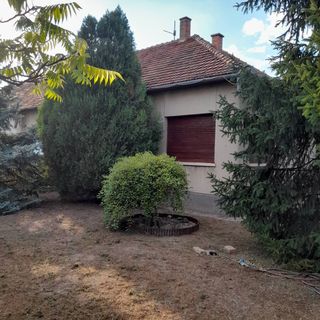 Harmónia Ház Makó (2)