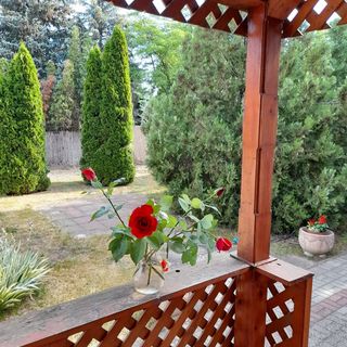 Harmónia Ház Makó (5)