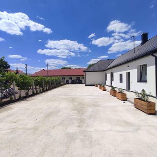 Csodaszarvas Vendégház Nyíradony (2)