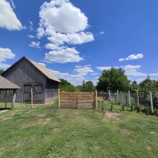 Csodaszarvas Vendégház Nyíradony (4)