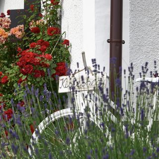 Kisleshegy Vendégház Dörgicse (5)