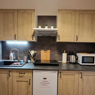 Apartmán Fanny II Zlaté Hory (3)