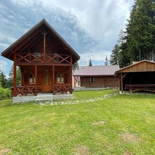 Forest Guest House Sântimbru-Băi (2)