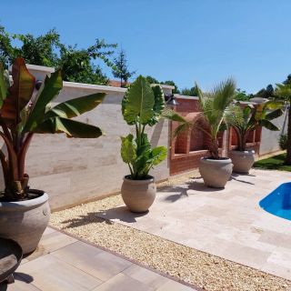 Dr Becsey Luxury Apartman Békéscsaba (4)